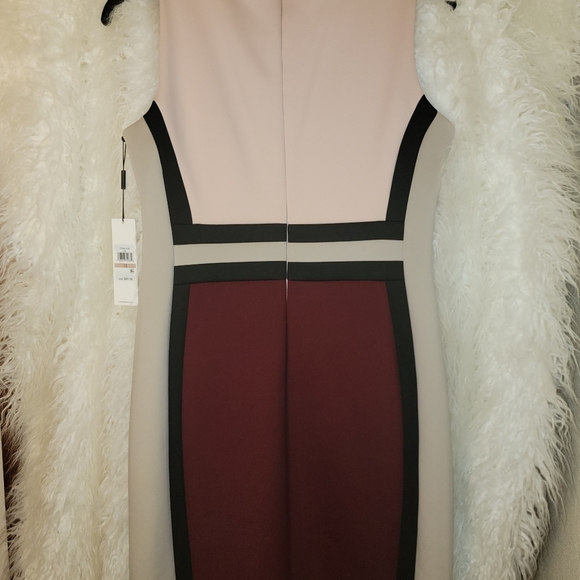 Gorgeous NWT Calvin Klein color block dress perfect for Spring concealed zipper - Picture 3 of 5